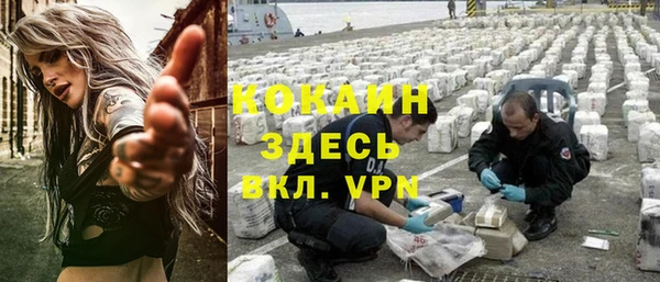apvp Алексин