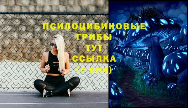 марки nbome Алексеевка